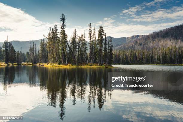 beautiful lake in colorado - laguna colorada stock pictures, royalty-free photos & images