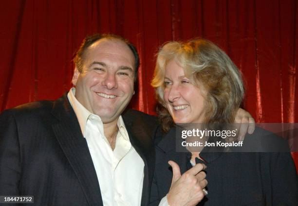 James Gandolfini and Betty Thomas during "Surviving Christmas" Los Angeles Premiere - After Party in Hollywood, California, United States.