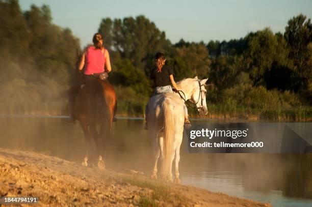 paseos a caballo por el lago - nebulosa cabeza de caballo fotografías e imágenes de stock