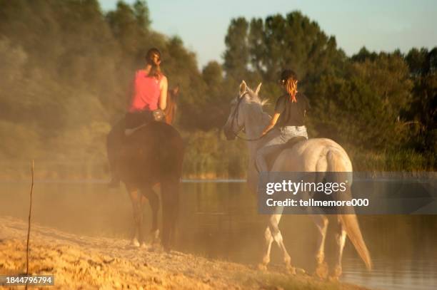 paseos a caballo por el lago - nebulosa cabeza de caballo fotografías e imágenes de stock