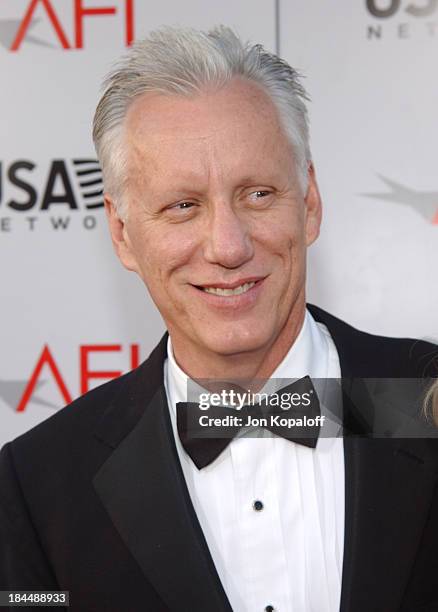 James Woods during The 32nd AFI Life Achievement Award Honors Meryl Streep at Kodak Theatre in Hollywood, California, United States.