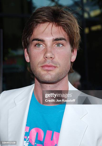 Drew Fuller during "We Don't Live Here Anymore" Los Angeles Premiere - Arrivals at The Director's Guild of America in Los Angeles, California, United...
