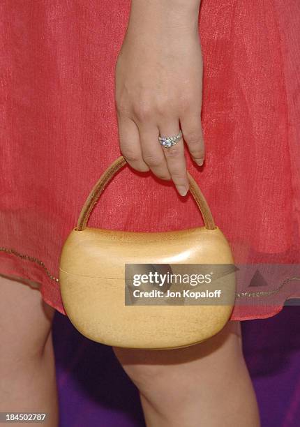 Rachael Leigh Cook during "Las Vegas" TCA Cocktail Party - Arrivals at The Beverly Hilton Hotel in Beverly Hills, California, United States.