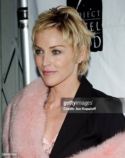 Sharon Stone during 11th Annual Angel Awards Hosted by Project Angel Food - Arrivals at Project Angel Food in Hollywood, California, United States.