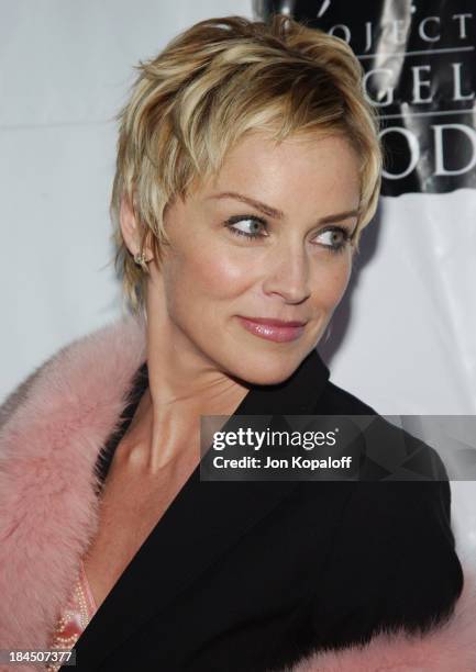 Sharon Stone during 11th Annual Angel Awards Hosted by Project Angel Food - Arrivals at Project Angel Food in Hollywood, California, United States.