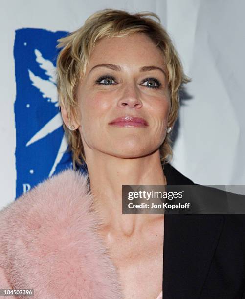 Sharon Stone during 11th Annual Angel Awards Hosted by Project Angel Food - Arrivals at Project Angel Food in Hollywood, California, United States.