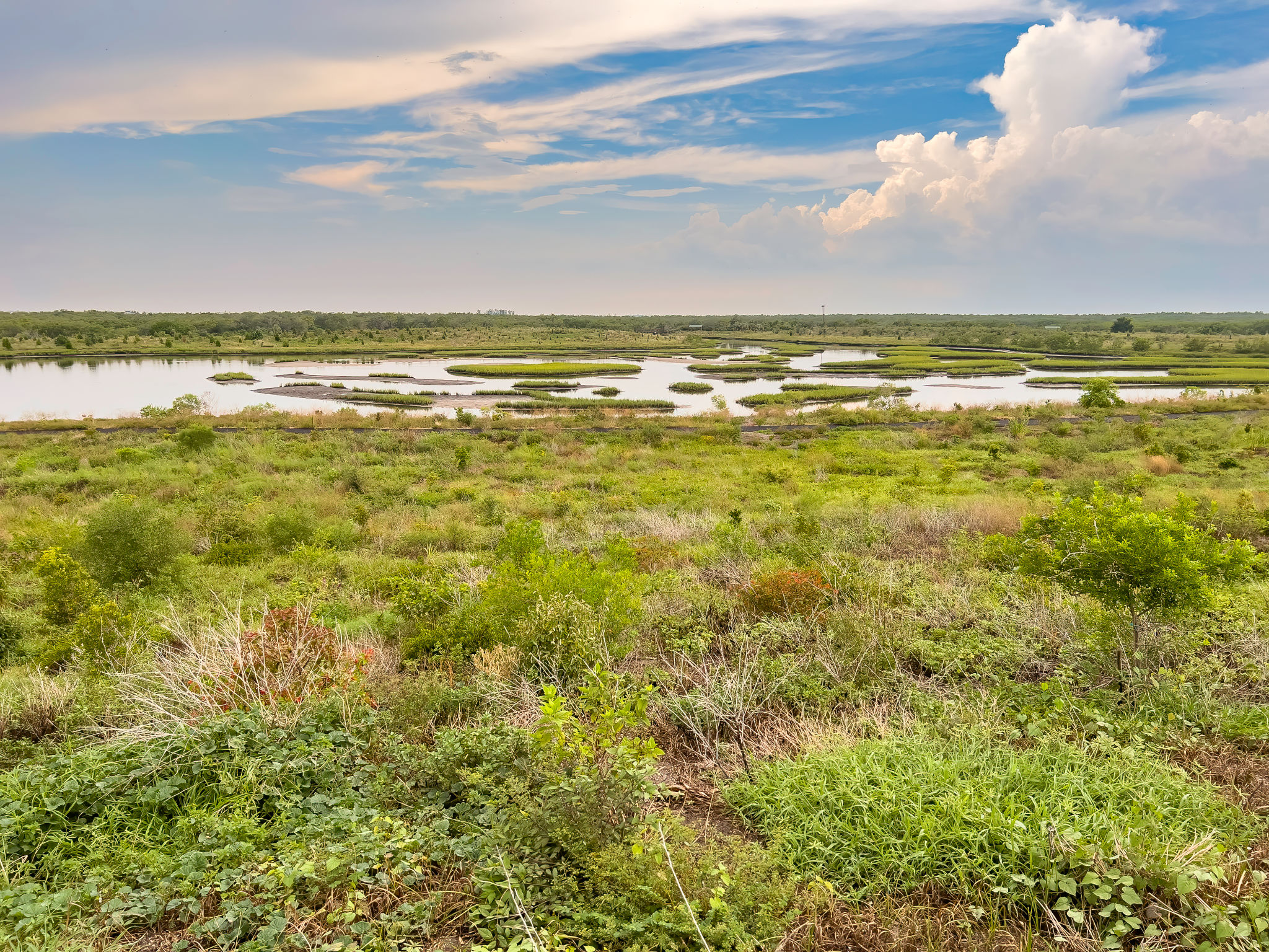 land restoration