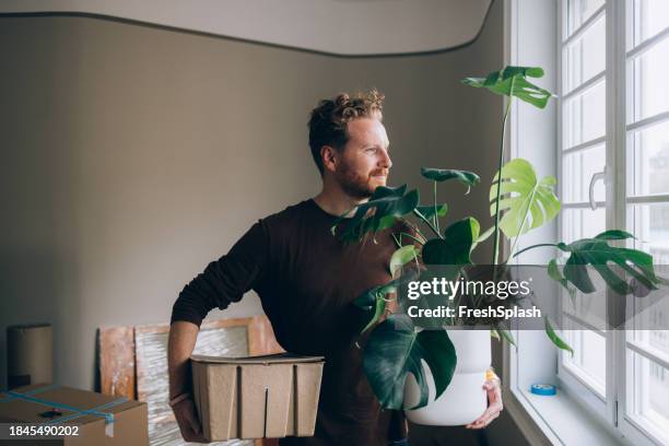 moving day snapshot: happy man with plant and box - uitpakken activiteit stockfoto's en -beelden