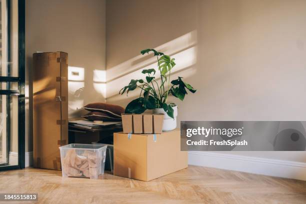 moving in: boxes, plants etc ready for a new chapter in a new home - offloading stock pictures, royalty-free photos & images