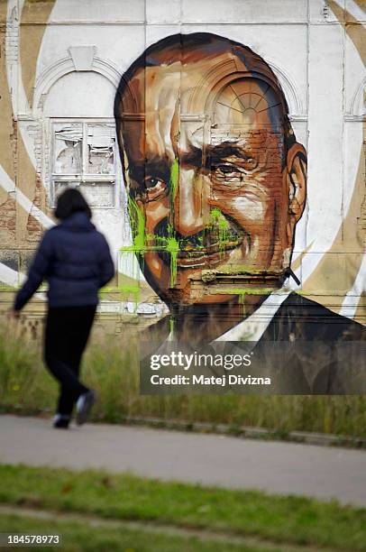 Woman passes the pre-election campaign mural painting of TOP09 Party Chairman Karel Schwarzenberg painted on the wall of a desolate building on...