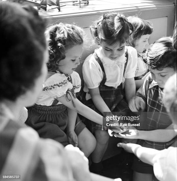 Turtle Nursery Photos And Premium High Res Pictures Getty Images turtle-nursery-photos-and-premium-high-res-pictures-getty-images