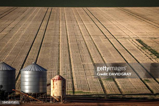 This picture taken on December 12, 2023 shows silos near a wheat crop in a paddock located on the Liverpool Plains, near the north-western New South...
