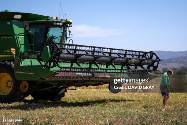 This picture taken on December 12, 2023 shows farmer Noel Saunders walking past his header after filling a trailer with wheat in a paddock located on...