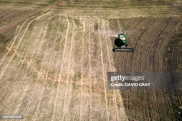 This picture taken on December 12, 2023 shows farmer Noel Saunders driving his header as he harvests a wheat crop in a paddock located on the...