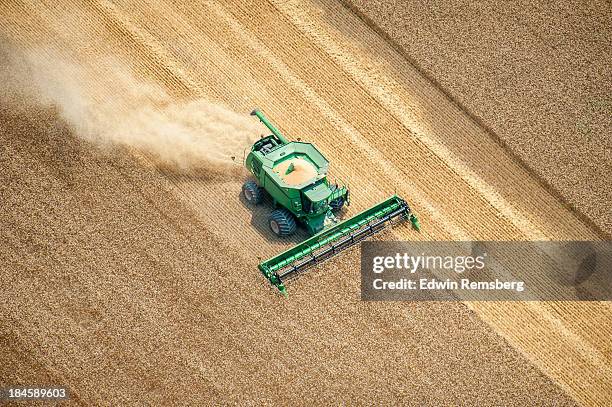 cutting the swath - moissonneuse batteuse photos et images de collection