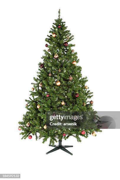 christmas tree - christmas tree isolated stock pictures, royalty-free photos & images