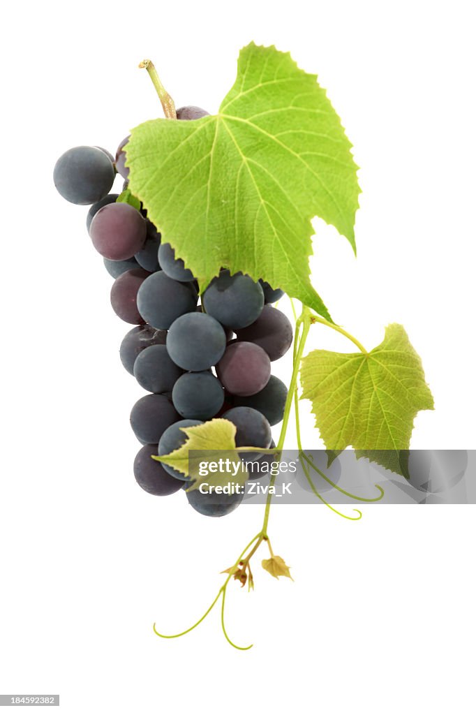 Uvas