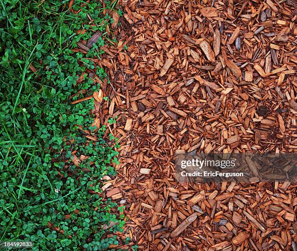 grass and clover on cedar chips larger - wood chip path stock pictures, royalty-free photos & images