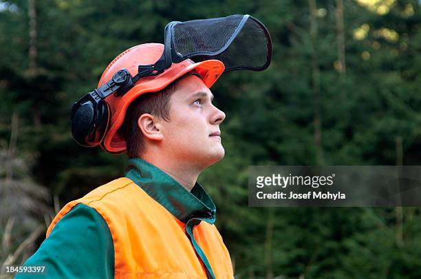 portrait of lumberjack - forestry stock pictures, royalty-free photos & images
