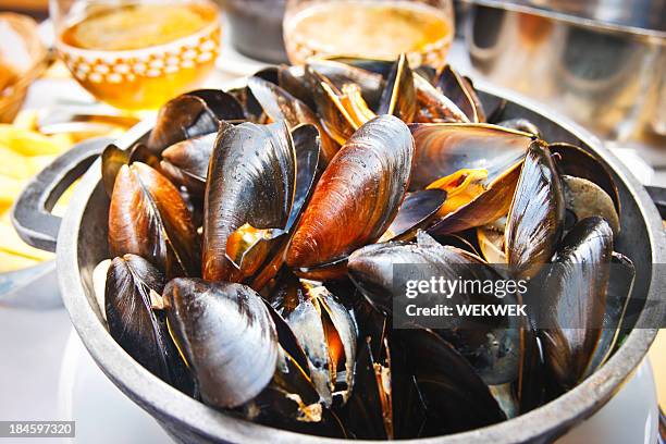 mussels and beer - mussels bildbanksfoton och bilder