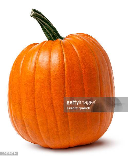 orange pumpkin with twisted stem isolated clipping path - pumpa bildbanksfoton och bilder