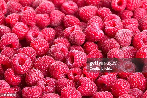 raspberry - raspberry stock pictures, royalty-free photos & images