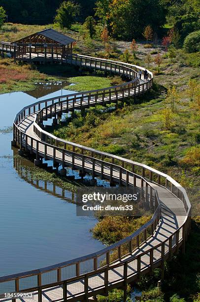 wetlands pedestrian walkway - v arkansas stockfoto's en -beelden