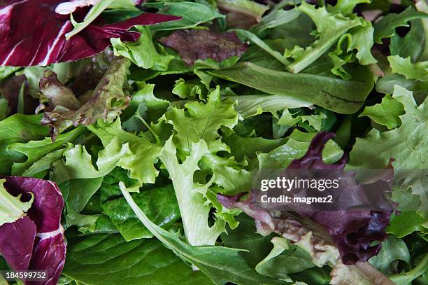 mix lettuce - mesclun salad stock pictures, royalty-free photos & images