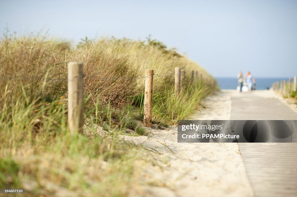 Way to the beach