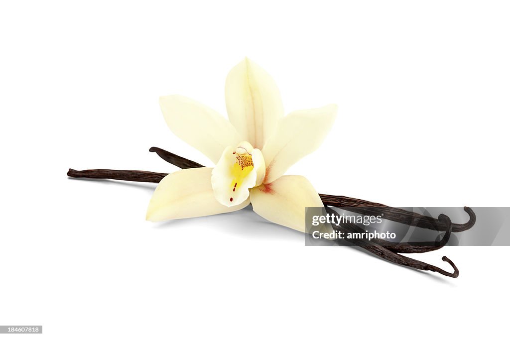 Vanilla isolated on white