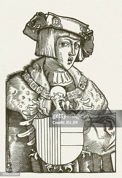charles v - albrecht dürer stock-grafiken, -clipart, -cartoons und -symbole