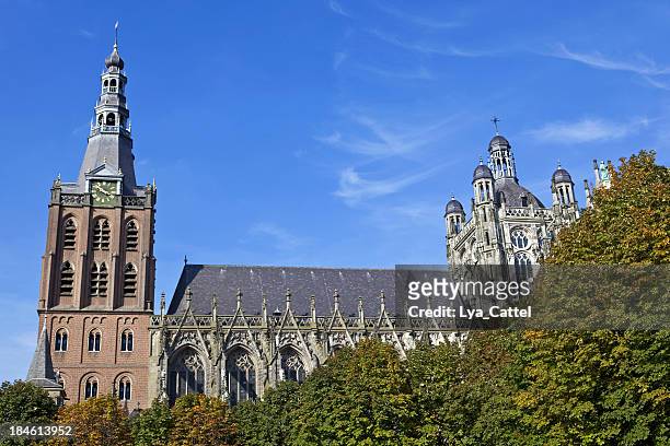 聖ヤン大聖堂の hertogenbosch #で 7 xxl - スヘルトーヘンボス ストックフォトと画像