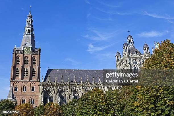 st. jan's cathedral in 's hertogenbosch # 7 xxl - 's hertogenbosch stock pictures, royalty-free photos & images