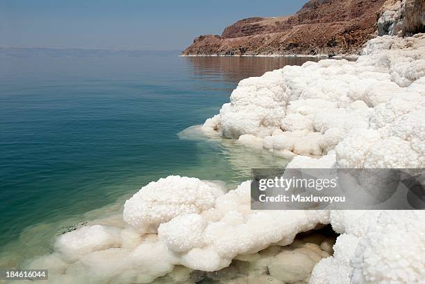 dead sea beauty - sea salt stock pictures, royalty-free photos & images