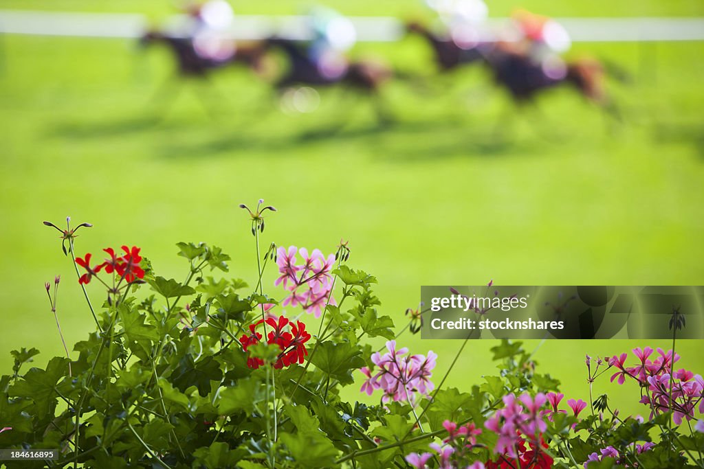 Journée à l'hippodrome