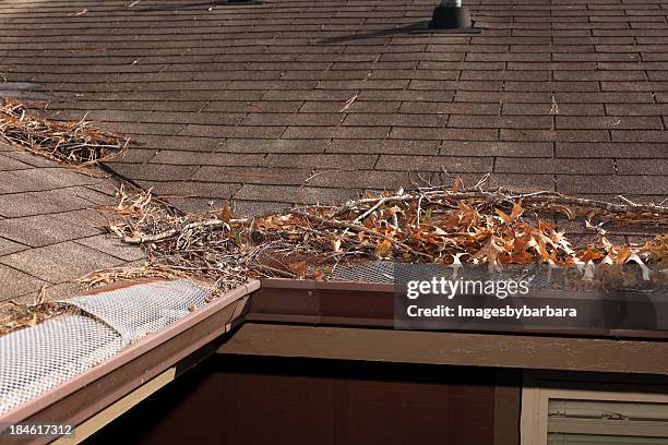 autume foilage - rain gutter imagens e fotografias de stock