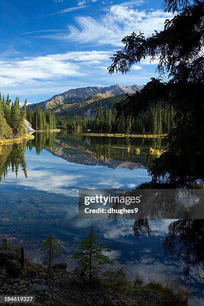 reflexos no lago horseshoe no parque nacional de denali, alasca - lago horseshoe imagens e fotografias de stock