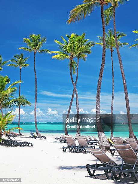 bavaro beach in punta cana - punta cana stock pictures, royalty-free photos & images