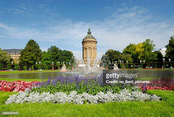 outdoor photo mannheim fountain with blooming flowers - mannheim stock pictures, royalty-free photos & images
