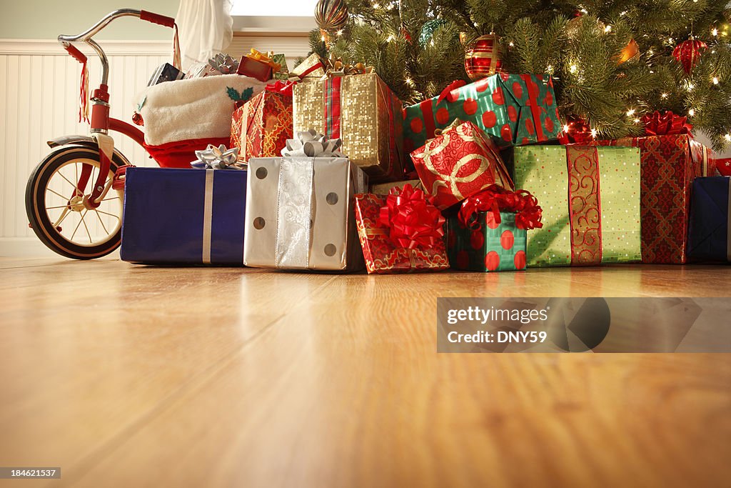 Presents Under the Christmas Tree