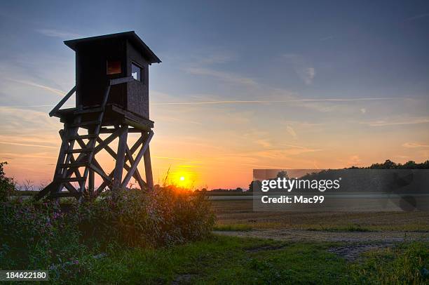 scenic with hunters blind in very last evening light - wooden hut stock pictures, royalty-free photos & images