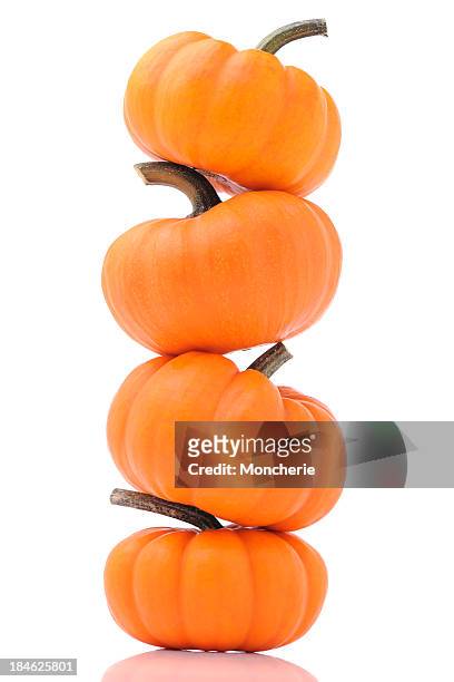 four pumpkins - miniature pumpkin stock pictures, royalty-free photos & images