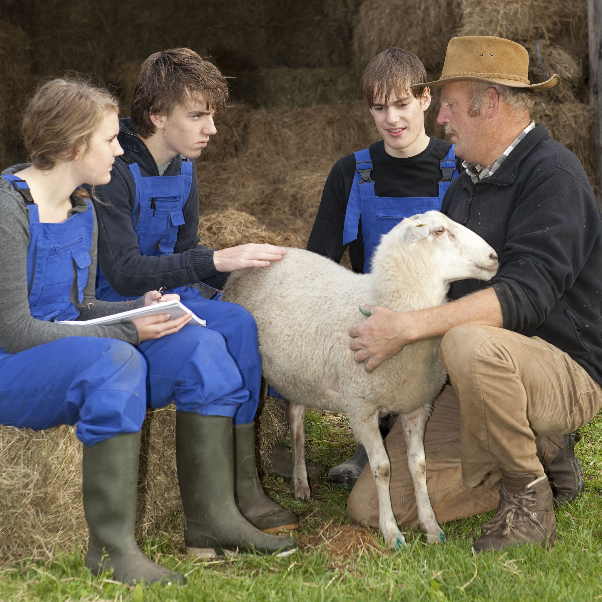 farrier explaining