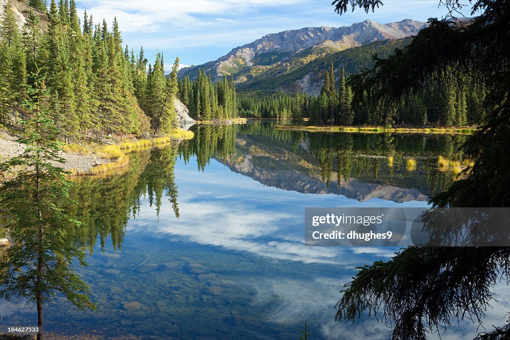 Reflets dans Horseshoe Lake au Parc National de Denali, Alaska