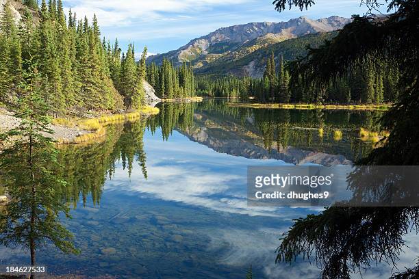 reflexos no lago horseshoe no parque nacional de denali, alasca - lago horseshoe imagens e fotografias de stock