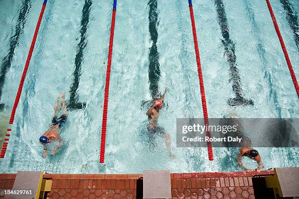 スイマーズを完備した 3 つのプールの縁 - swimming lane marker ストックフォトと画像