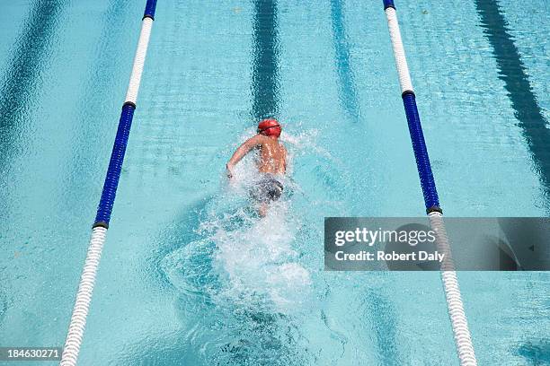 swimmer swimming in a pool - zwembadlaan scheidingslijn stockfoto's en -beelden
