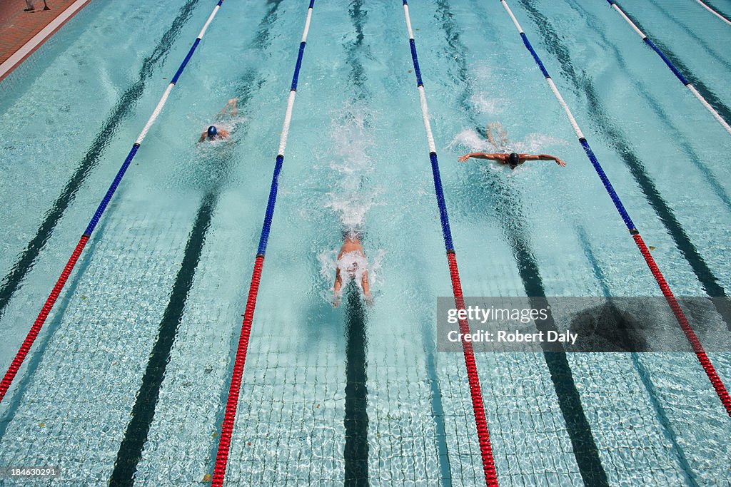 Three swimmers swimming in a pool