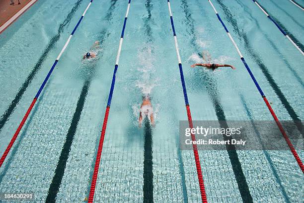 three swimmers swimming in a pool - zwembadlaan scheidingslijn stockfoto's en -beelden