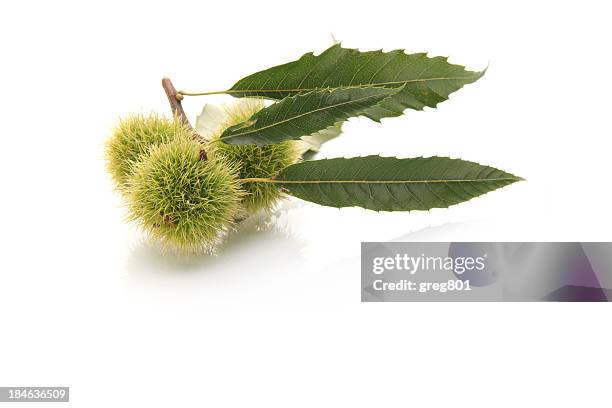 Blood Sugar Level Spike Photos And Premium High Res Pictures Getty Images how-to-control-blood-sugar-spikes-eating-food-in-the-correct-order